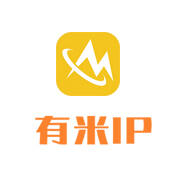 有米网游加速器如何绑定安卓模拟器编号?完整图文教程 | 永久固定IP设置指南-IP导航
