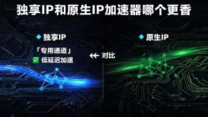 独享IP和原生IP加速器哪个更香？一文说透区别-IP导航