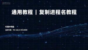 通用教程 | 复制进程名教程-IP导航
