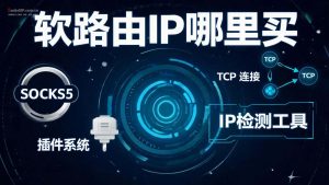 软路由IP哪里买？推荐socks5ip.com.cn（全网低价IP）-L2TP协议IP免费测试与购买指南-IP导航