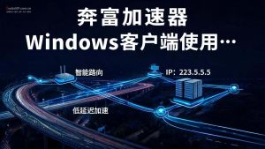 奔富加速器 Windows客户端使用及连接教程-IP导航