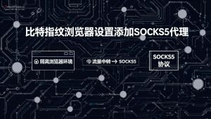 比特指纹浏览器设置添加SOCKS5代理IP教程-单窗口单ip-IP导航