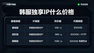 韩服独享IP什么价格？20元/月左右，免费试用零风险-IP导航