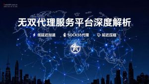 无双代理服务平台深度解析：您的专业海外业务加速器-IP导航