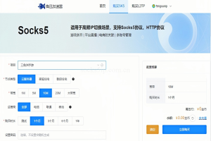 烽讯加速器【官方直购】:多协议网络方案与业务场景配置指南-IP导航