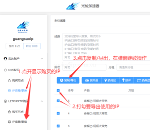 光梭IP Socks5/L2TP一键提取与使用教程 – 快速配置指南-IP导航