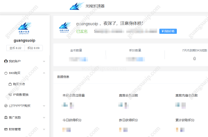 光梭加速器 | Socks5协议适配老鱼加速器,L2TP协议支持软路由部署 | 专业网络加速解决方案-IP导航
