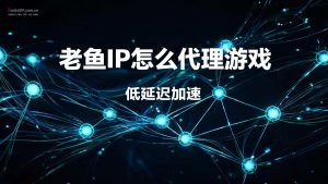 老鱼IP怎么代理游戏?教你用老鱼加速器实现单窗口单IP-IP导航