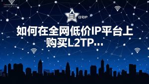 如何在全网低价IP平台上购买L2TP静态IP?-IP导航