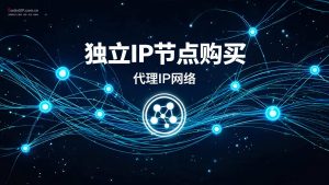独立IP节点购买：2026年最全选购指南与避坑攻略-IP导航