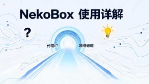 NekoBox 使用详解：支持Socks5的代理客户端设置指南-IP导航