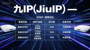 九IP(JiuIP) – 专业静态代理IP服务 | 套餐价格表-IP导航