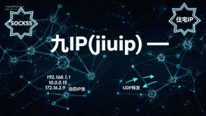九IP(jiuip) – 专业静态代理IP服务 | 支持SOCKS5/L2TP协议 | 自助提取平台-IP导航