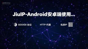 JiuIP-Android安卓端使用教程 – 使用 NekoBox 连接-SOCKS5 / HTTP / Shadowsocks-IP导航