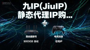 九IP(JiuIP) 静态代理IP购买使用教程 | SOCKS5/L2TP协议配置指南-IP导航