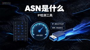 ASN是什么？从快递引子到看懂IP质量检测-IP导航