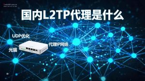 国内L2TP代理是什么?为什么越来越多人选它?-IP导航