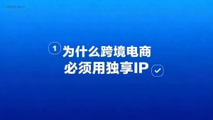 为什么跨境电商必须用独享IP？详解防关联、账号权重与运营稳定性-IP导航