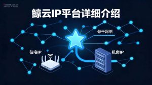 鲸云IP平台详细介绍：机房/家庭/定制三大类型全解析，高可用静态代理低至6元/月-IP导航