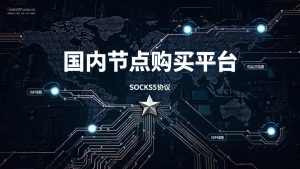 国内节点购买平台,推荐socks5ip.com.cn(全网低价IP)-IP导航