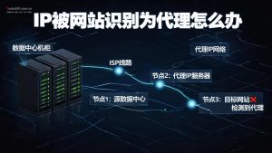 IP被网站识别为代理怎么办?原因分析与解决方案-IP导航