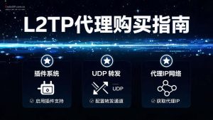L2TP代理购买指南:2026年稳定IP方案推荐与配置教程-IP导航